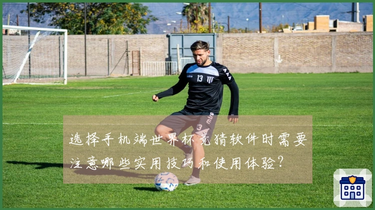 选择手机端世界杯竞猜软件时需要注意哪些实用技巧和使用体验？