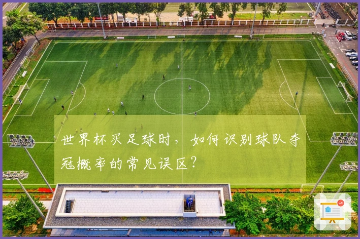 世界杯买足球时，如何识别球队夺冠概率的常见误区？