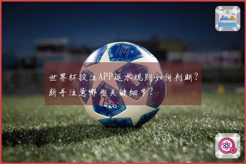 世界杯投注APP返水规则如何判断？新手注意哪些关键细节？